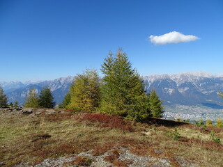 Fototapeta na wymiar Zirbenweg am Patscherkofel oberhalb von Innsbruck Sistrans Lans Patsch gegenüber dem Karwendel Gebirge