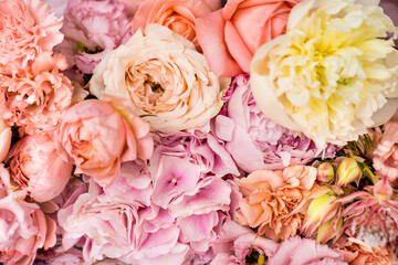 background texture. a bouquet of delicate pink peony roses.