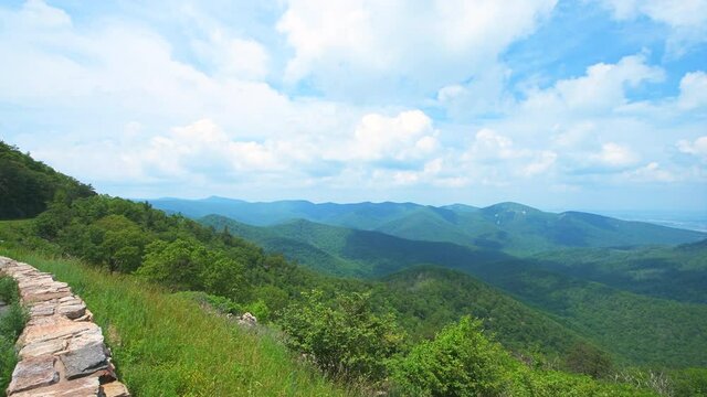 Panning overlook view of horizon in Appalachian Shenandoah Blue Ridge mountains on skyline drive park with rolling hills in summer
