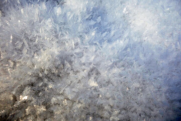 Beautiful snow crystals in the picturesque nature in the winter season