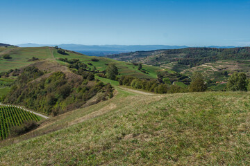 Fototapeta premium Altvogtsburg im Kaiserstuhl mit Badberg, Baden-Württemberg
