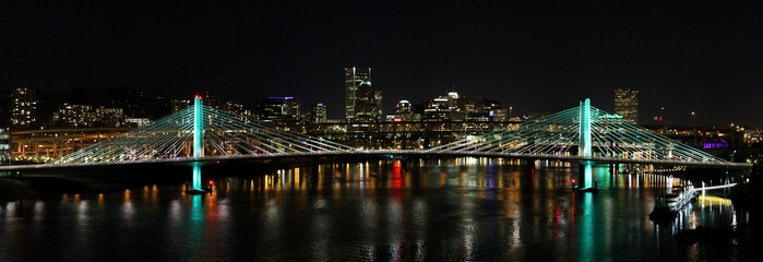 panoramic city at night with bridge 