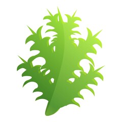 Thistle scotland plant leaf icon. Cartoon of thistle scotland plant leaf vector icon for web design isolated on white background