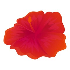 Red hibiscus flower icon. Cartoon of red hibiscus flower vector icon for web design isolated on white background