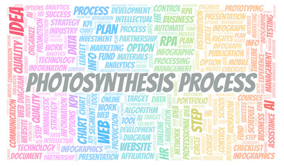 Fototapeta premium Photosynthesis Process typography word cloud create with the text only.