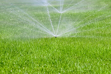 Garden automatic Irrigation system spray watering lawn.