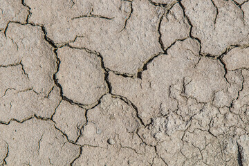 Background of dry cracked soil dirt or earth during drought