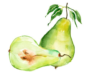 Watercolor set of hand drawn isolated pear fruits on white background. ripe juicy isolated hand painted, fresh exotic food golden green for food label design. Slice, section of a pear.Watercolor logo