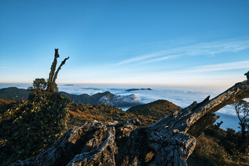 Fototapeta premium Beautiful landscape of Northwest Vietnam