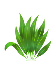 Grass or bushes. Green spring grass. Fresh plants, garden botanical greens, herbs and leaves vector isolated on white. Natural lawn meadow bushes, floral vegetation. Element to create a scene