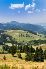 Fototapeta na wymiar Summer in Pieniny Mountains. View from Rozdziela Pass to Three Crowns Massif.