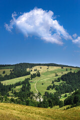 Fototapeta na wymiar Summer Mountains, Pieniny. View from Smolegowa Skala on Brysztanskie Skaly and Rozdziela Pass, Beskid Sadecki.