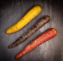 Multicolor carrots on grey background