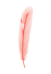 Coral detailed feather of bird. Vector decorative fluffy pink feather of flamingo or goose. Plume icon isolated on white background