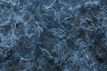 background tree frozen in ice