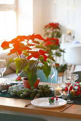 Christmas table setting with poinsettia in living room