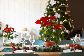 Christmas table setting with poinsettia in living room