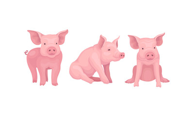 Pink Pig as Even-toed Ungulate Domestic Animal in Different Poses Vector Set