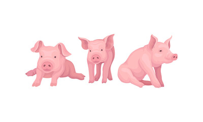 Pink Pig as Even-toed Ungulate Domestic Animal in Different Poses Vector Set