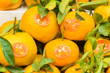 Chinese New Year greeting with mandarin oranges.