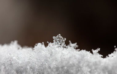 natural snowflakes on snow, winter