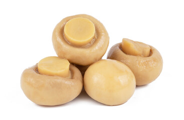 Group of tasty Pickled marinated mushrooms isolated on white background