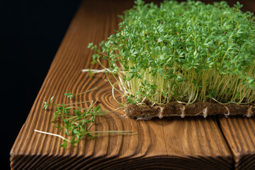 Watercress microgreens with linen rug on textured table