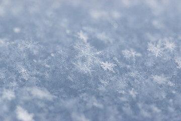 snowflakes of different shapes as background