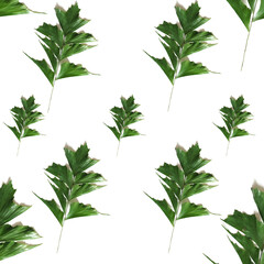 Green tropical leaves. Seamless background