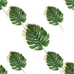 Fototapeta premium Green tropical leaves. Seamless background