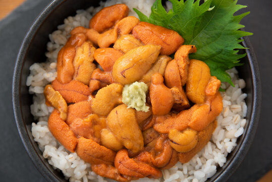 「ウニ丼」の画像 - 1,205 件の Stock 写真、ベクターおよびビデオ | Adobe Stock