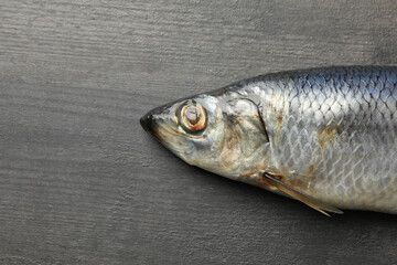 Fresh herring fish on gray wooden background