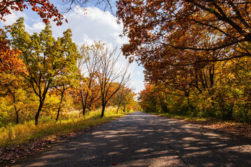 秋晴れの爽やかな久住高原
