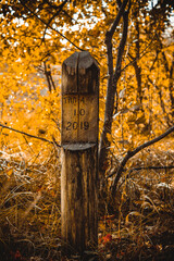 post in the autumn forest