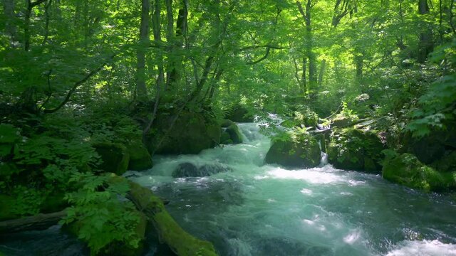 渓流水流川