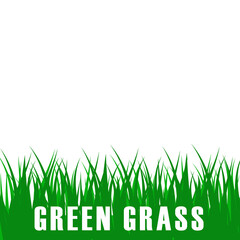 Green grass meadow border vector