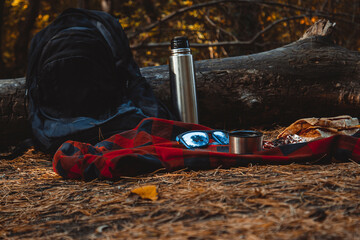 picnic in the woods