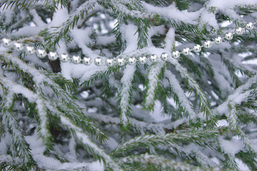 Gray beads on the Christmas tree on Christmas night Tree in the snow