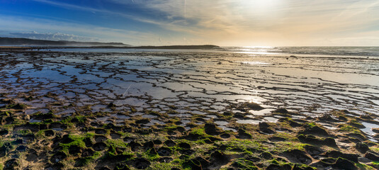 warm evening light over a wild sand and rock beach with tidal pools and seagulls flying