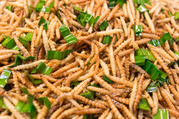 Bamboo worm fried, fried insects are a high protein foods. Its habitat are the bamboo groves and forests in the cooler regions of northern Thailand.