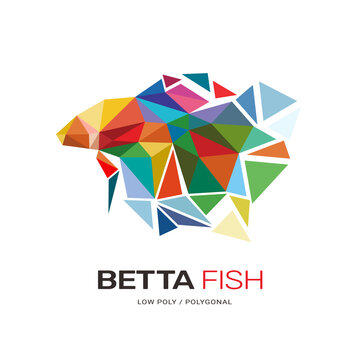 Betta hobby fish low poly polygonal template design