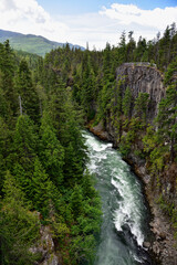 Fototapeta na wymiar The rough waters of a Lillooet mountain river, British Columbia, Canada