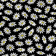 Fototapeta na wymiar Flower pattern of daisy on black background