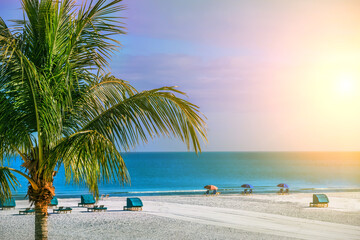 Fototapeta na wymiar A motley beach with an emerald wave and a palm tree. A row of loungers for relaxation. Florida coast. USA.