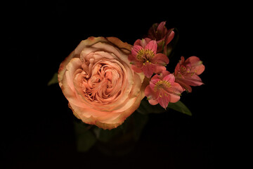 Flowers on a black background