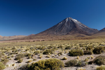 Fototapeta premium Juriques volcano mountain with snow in desert landscape, bordering Chile and Bolivia, close to San Pedro de Atacama