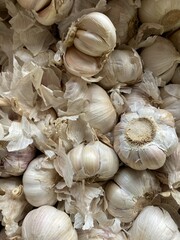 close up fresh garlic in market