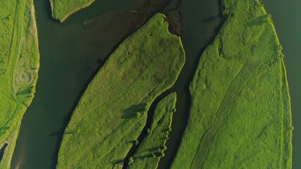 Flight top down above green field river delta branch passes through. Planet earth lungs unique natural landscape. Spring meditation scenery. Beautiful epic abstract surface. Ecosystem reserve. Summer 