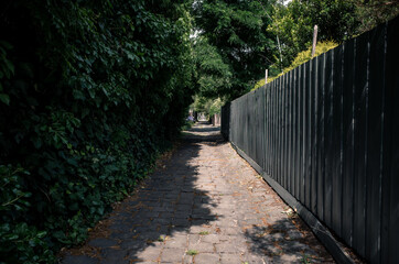 Fototapeta premium Long alley