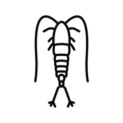 Plankton vector icon. copepod icon. animal sign. vector illustration